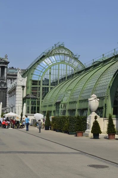 Avusturya, Viyana, Burggarten — Stok fotoğraf