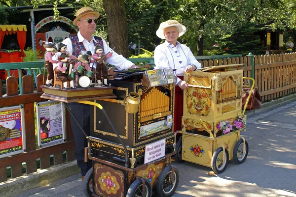 Austria, Organo a botte — Foto Stock