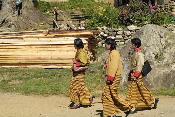 Asya, Bhutan, Bumthang — Stok fotoğraf