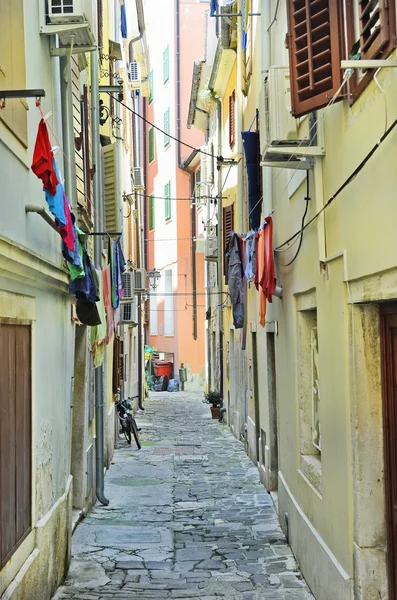 Piran Słowenia, Istria, — Zdjęcie stockowe
