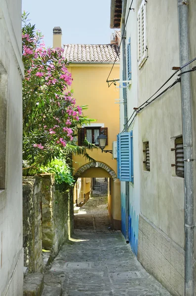 Piran Słowenia, Istria,, — Zdjęcie stockowe