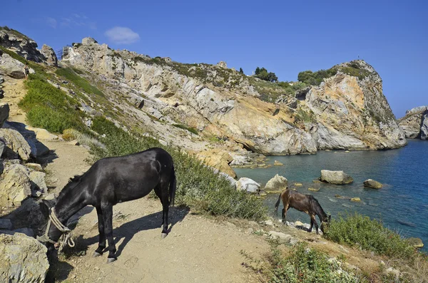 Řecko, ostrov skiathos — Stock fotografie