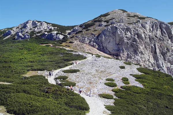 Oostenrijk, Rax Mountain — Stockfoto