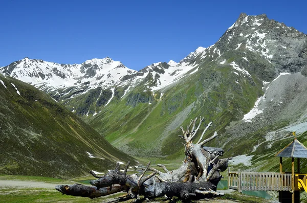 Áustria, Tirol, Alpes — Fotografia de Stock