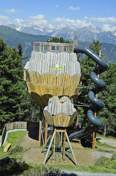Austria, Tirol, Zirbenpark — Foto de Stock