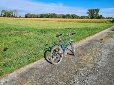 Avusturya, olgun mısır tarlası ve Aşağı Avusturya 'da çayır olan tarım alanında bisiklet gezisi