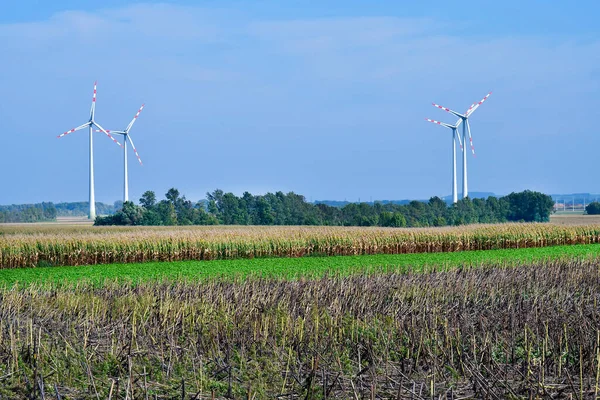 Austria Zona Agrícola Con Aerogeneradores Para Generación Electricidad — Foto de Stock