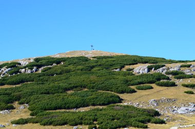 Avusturya, dağ çamları ve Schneeberg dağındaki anıt haçı