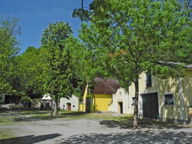 Avusturya, farklı şarap mahzenleri olan meydan ideal sıcaklık ve depolama için kazılmış.