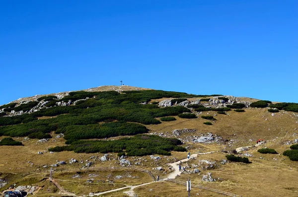 Avusturya, dağ çamları arasında Schneeberg dağındaki bir haça giden patikada yürüyüş yapanlar.