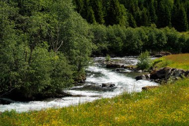 Norveç, kayaları Luster fiyorduna yüzen küçük bir dağ deresi