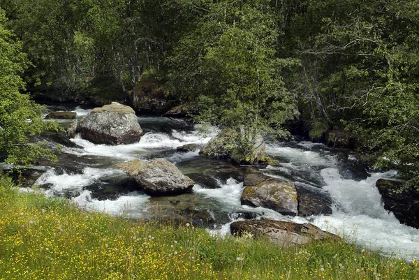 Norwegen Kleiner Gebirgsbach Mit Zum Fjord Von Luster Schwimmenden Felsen — Stockfoto