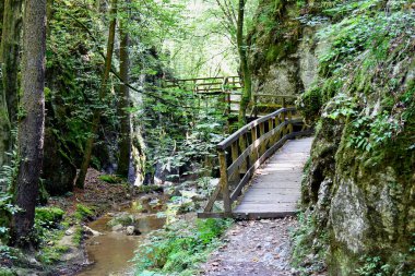 Avusturya, Wuerflach 'taki Johannesbach vadisi doğu Alpleri' nin kıyısındaki Güney Avusturya 'da küçük doğal bir cennettir.