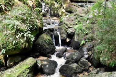 Avusturya, Ysperklamm Waldviertel 'in doğal bir anıtıdır, Batı Avusturya' nın bir parçası, ysper Alp deresi boyunca patikaları, köprüleri ve şelaleleri vardır.