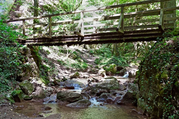 Austria Ścieżka Piesza Drewniany Most Wąwozie Johannesbach Wuerflach Mały Naturalny — Zdjęcie stockowe