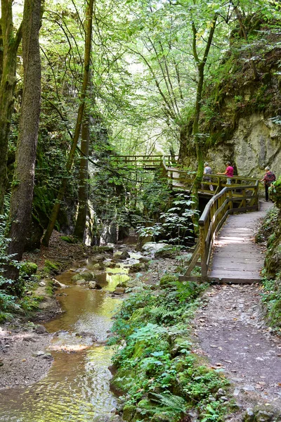 Wuerflach Oostenrijk Augustus 2019 Niet Geïdentificeerde Oudere Vrouw Voet Door — Stockfoto