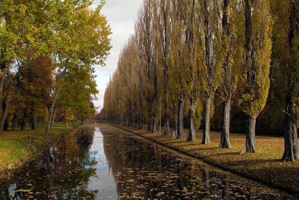 Österrike Höststämning Med Allé Träd Längs Kanalen Laxenburg Niederösterreich Sommarreträtt — Stockfoto