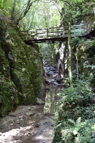 Austria Gola Johannesbach Wuerflach Piccolo Paradiso Naturale Nella Bassa Austria — Foto Stock