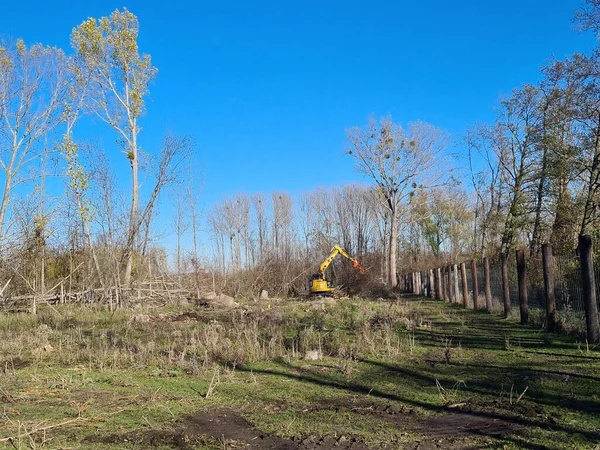 Reisenberg Austria November 2020 Tree Clearing Special Equipment Wetlands — 图库照片