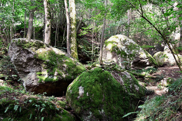 Austria, the Ysperklamm is a natural monument in the Waldviertel, a part of western Lower Austria with footpaths, bridges and waterfalls along the ysper alpine brook