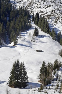 Avusturya, Tyrol 'da kış, taze karda kayak izleri.