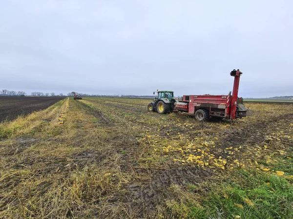 Reisenberg Lower Austria November 2020 Unidentified Farm Workers Tractor Ppumpkins — 스톡 사진