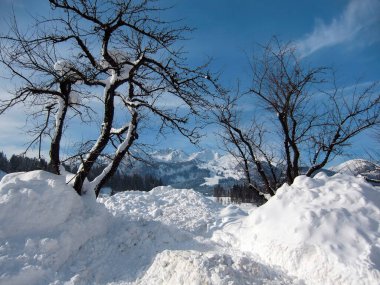Avusturya, Tyrol 'da karla kaplı manzara