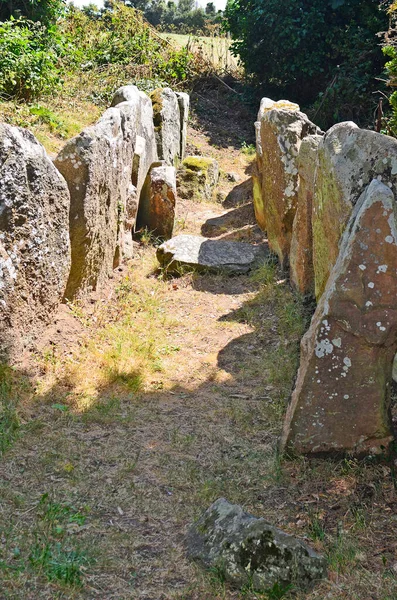 Grande Bretagne Jersey Island Ancienne Dolmen Mont Ube — Photo