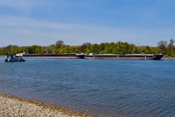 Haslau Österrike April 2021 Liten Färja För Människor Och Cyklar — Stockfoto