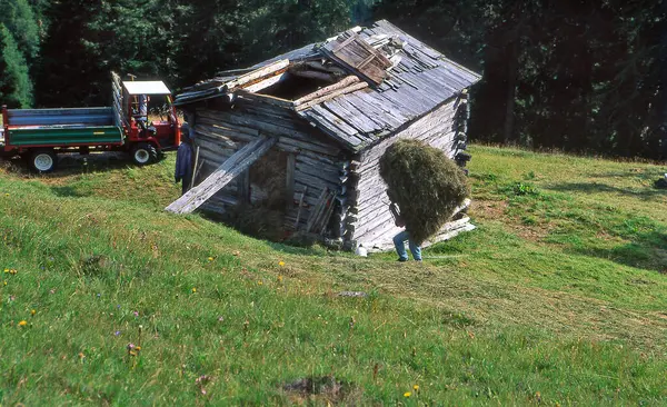 Matrei Austria Giugno 2010 Agricoltori Montagna Non Identificati Con Fienagione — Foto Stock