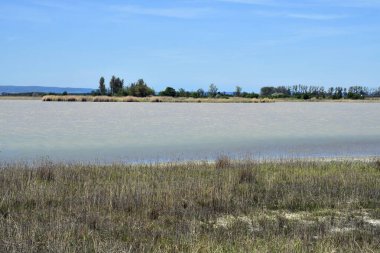 Avusturya, Neusiedler See-Seewinkel Ulusal Parkı 'ndaki küçük göl, Burgenland' daki Avrasya Steppe 'nin bir parçası ve Uluslararası Doğayı Koruma Birliği' nin bir parçası.