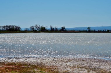 Avusturya, Neusiedlersee-Seewinkel Ulusal Parkı 'nda güneş ışığının doğduğu küçük bir bozkır gölü manzarası ve dinlenme alanı.