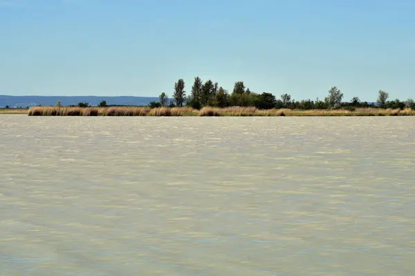 Austria Piccolo Lago Stepposo Nel Neusiedler See Seewinkel National Park — Foto Stock