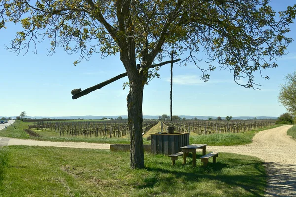 Österreich Rastplatz Traditionellen Alten Ziehbrunnen Und Weinfelder Nationalpark Neusiedler See — Stockfoto