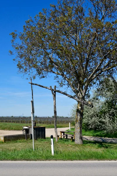 Austria Area Sosta Presso Pozzo Tradizionale Campi Vinicoli Nel Neusiedler — Foto Stock