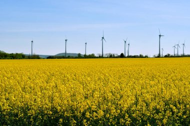 Avusturya, Arkasında çiçek açan bir kolza tarlası ve rüzgâr türbinleri olan manzara