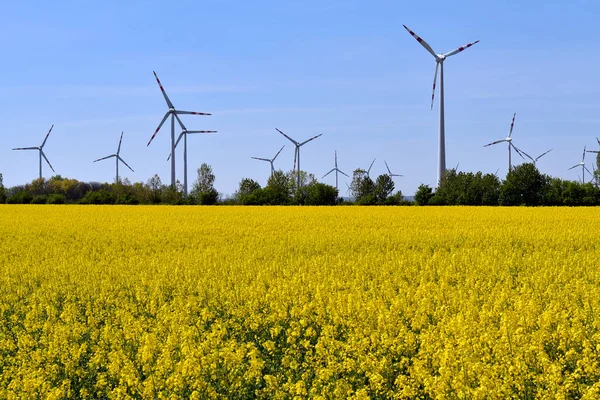 Austria Paisaje Con Campo Colza Flor Turbinas Eólicas Fondo — Foto de Stock