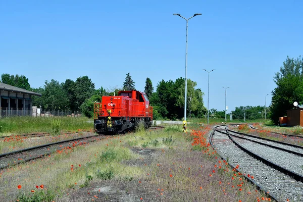 Mannersdorf Österrike Juni 2021 Diesel Hydrauliskt Växellok Österrikes Federala Järnvägar — Stockfoto