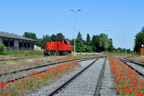 Mannersdorf Österrike Juni 2021 Diesel Hydrauliskt Växellok Österrikes Federala Järnvägar — Stockfoto