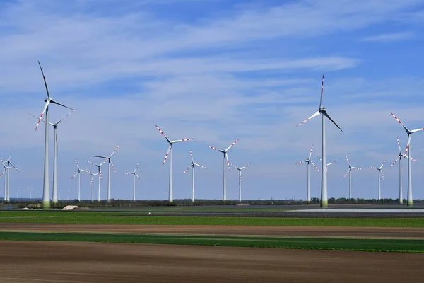 Austria Burgenland Energía Alternativa Con Turbinas Eólicas Las Tierras Bajas — Foto de Stock