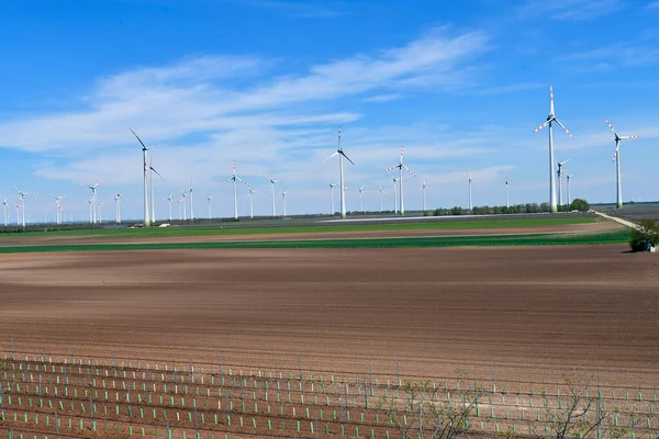 Avusturya Burgenland Pannonya Ovalarında Rüzgar Türbinleriyle Alternatif Enerji — Stok fotoğraf