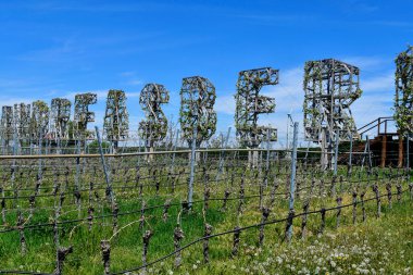 Andau, Avusturya - 04 Mayıs 2021: Andreasberg halkı Neusiedlersee-Seewinkel ulusal parkında çeşitli üzüm çeşitleri ve Pannonya ovaları üzerinde bir bakış açısı olan bir tepe.