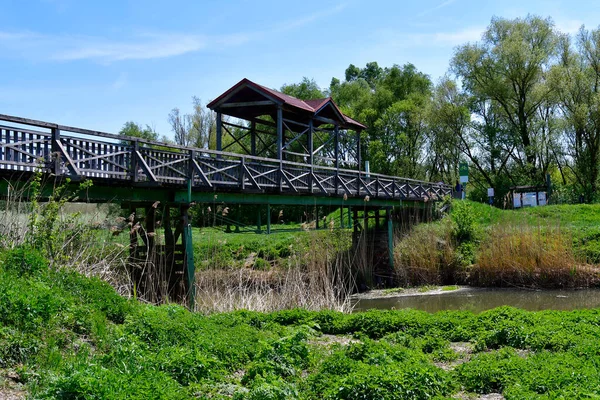 Avusturya Andau Nun Tarihi Köprüsü Einserkanal Nehri Üzerinde Yeniden Inşa — Stok fotoğraf