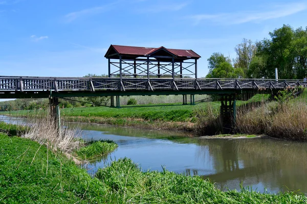 Avusturya Andau Nun Tarihi Köprüsü Einserkanal Nehri Üzerinde Yeniden Inşa — Stok fotoğraf