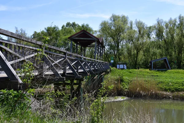 Austria Puente Histórico Reconstruido Andau Sobre Río Einserkanal Destruido Por —  Fotos de Stock