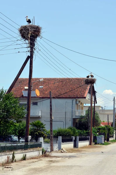 Greece Stork Nest Built Power Poles Tiny Village Lake Kerkini — Stock Photo, Image