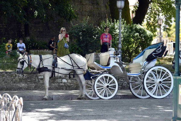 Ioannina Grecia Giugno 2021 Persone Non Identificate Carrozza Trainata Cavalli — Foto Stock