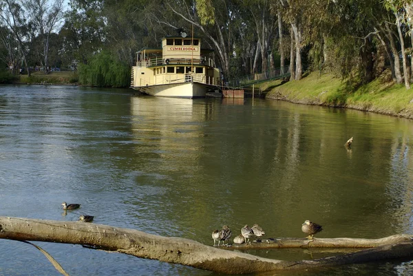 Avustralya, yandan çarklı vapur