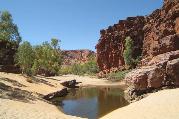 Australia, gamma di Oriente mc donnell, — Foto Stock