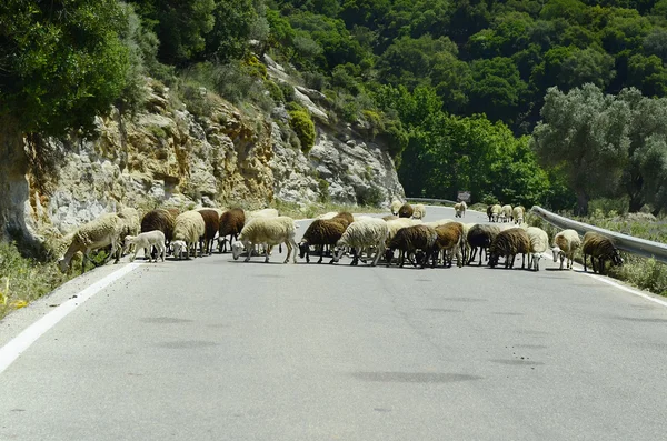 Grecia, Creta — Foto Stock